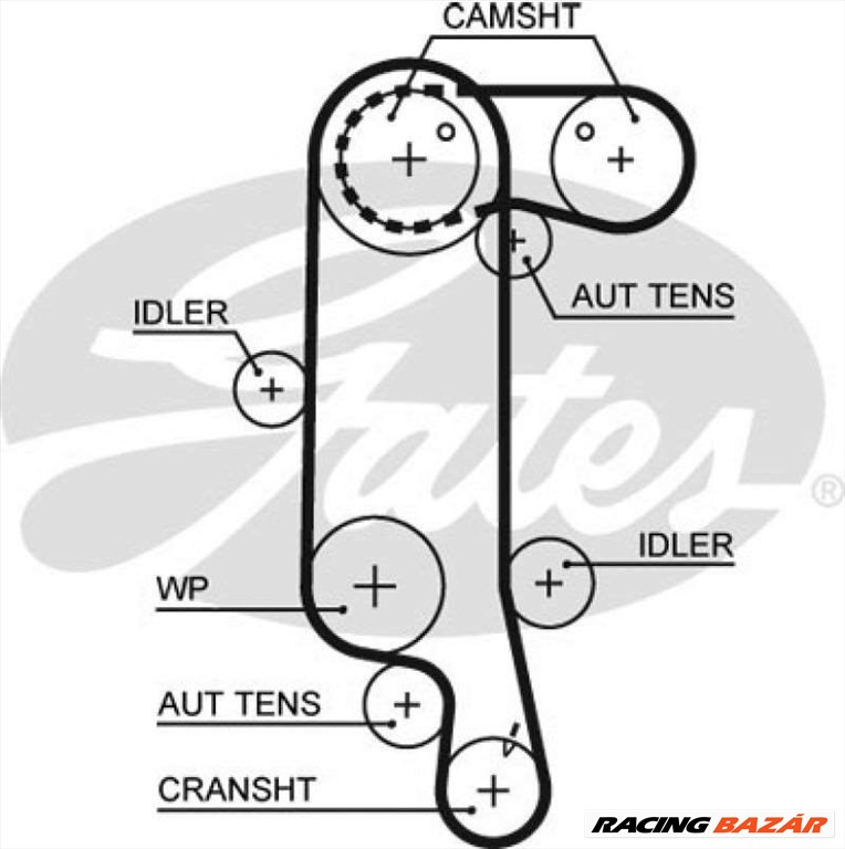 GATES 5565xs Vezérműszíj - VOLKSWAGEN, SKODA, SEAT, AUDI 1. kép