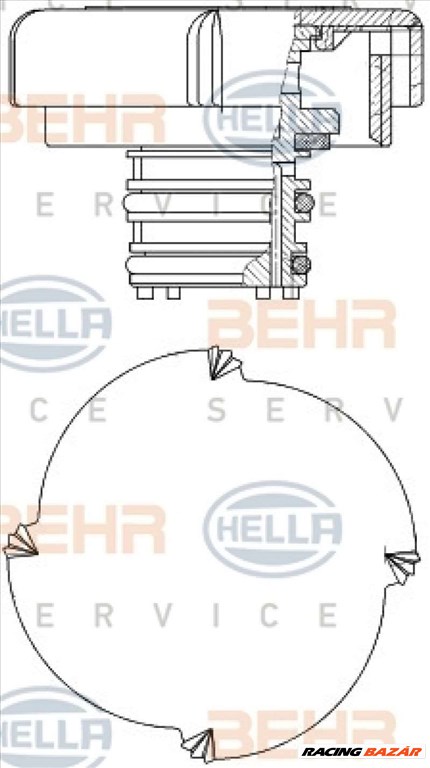 HELLA 8MY 376 743-451 Hűtő kiegyenlítőtartály sapka - BMW 1. kép