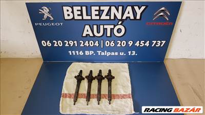 Peugeot 407 HDi FAP 135 befecskendező Delphi 