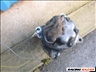 Peugeot 307 2,0 HDI klíma kompresszor SANDEN 1437 11. kép