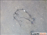 Opel Zafira B JOBB ELSŐ ajtóvezeték 2006 1. kép