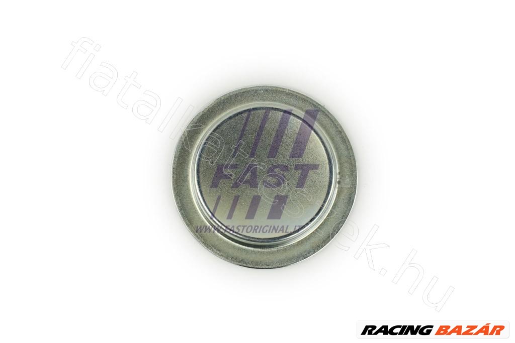 ENGINE PLUG FIAT DOBLO 09> ENGINE BLOCK 50MM FIAT PANDA I (-03) - Fastoriginal OR 55182787 1. kép