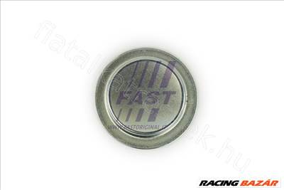 ENGINE PLUG FIAT DOBLO 09> ENGINE BLOCK 50MM FIAT PANDA I (-03) - Fastoriginal OR 55182787