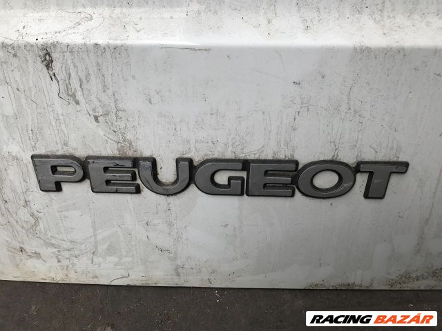 Peugeot Expert I Bal hátsó Ajtó (Üres lemez) 10. kép
