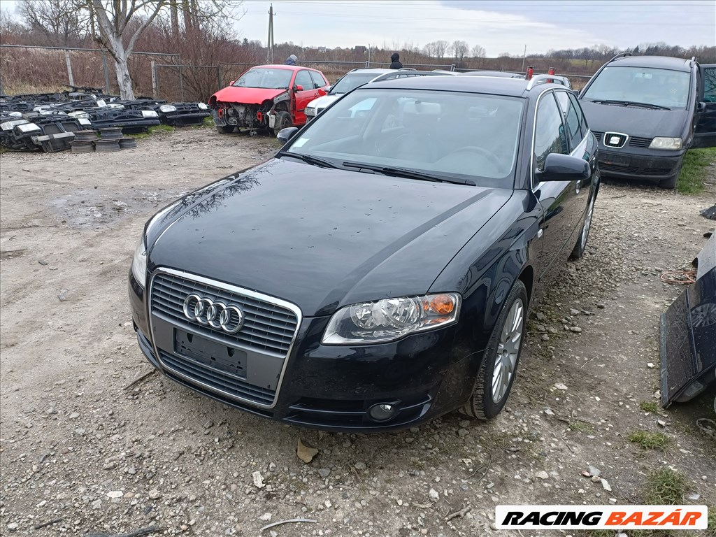 Audi A4 B7 2.0Tdi(BRE), multitronic bontott alkatrészei, LZ9Y színben eladók 1. kép