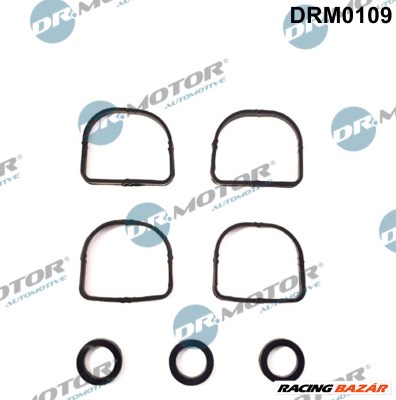 Dr.Motor Automotive DRM0109 - szívókönyök tömítéskészlet BMW 1. kép
