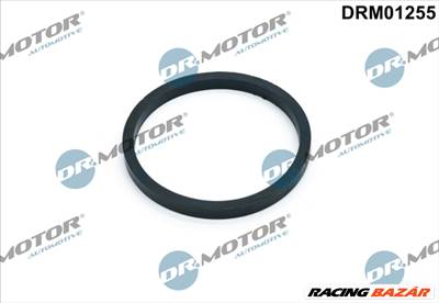 Dr.Motor Automotive DRM01255 - olajhűtő tömítés AUDI FORD SEAT SKODA VW