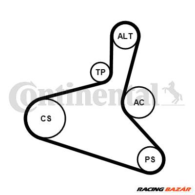 CONTINENTAL CTAM 6DPK1195K1 - hosszbordás szíj készlet AUDI SEAT SKODA VW