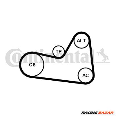 CONTINENTAL CTAM 6PK1026K1 - hosszbordás szíj készlet AUDI SEAT SKODA VW