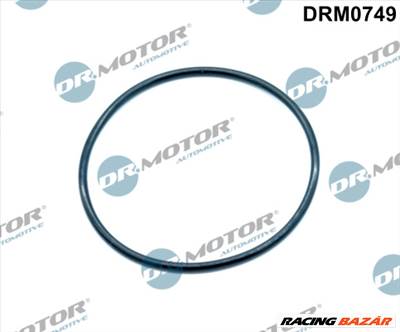 Dr.Motor Automotive DRM0749 - szívókönyök tömítés VW