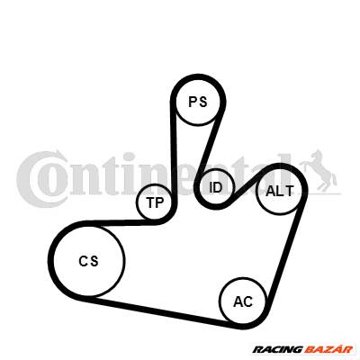 CONTINENTAL CTAM 6PK1548K1 - hosszbordás szíj készlet SEAT SKODA VW