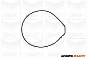 GRAF PA884 - vízpumpa LAND ROVER MG ROEWE (SAIC) ROVER