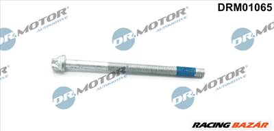 Dr.Motor Automotive DRM01065 - Csavar, befecskendező fúvóka tartó MERCEDES-BENZ