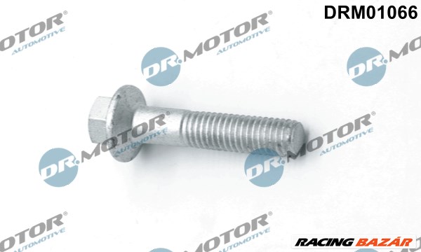 Dr.Motor Automotive DRM01066 - Csavar, befecskendező fúvóka tartó FORD 1. kép