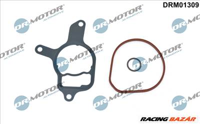 Dr.Motor Automotive DRM01309 - Tömítéskészlet, vákuumszivattyú AUDI CUPRA VW