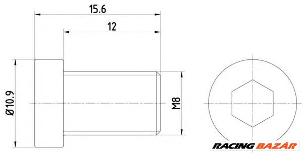 TEXTAR TPM0009 - féktárcsa csavar BMW 1. kép