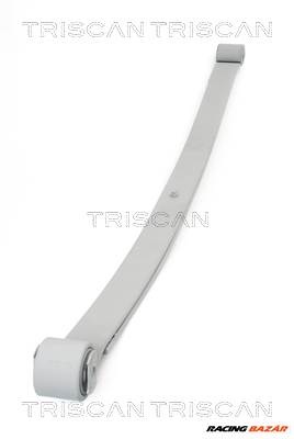 TRISCAN 8765 10006 - rugóköteg CITROËN FIAT PEUGEOT