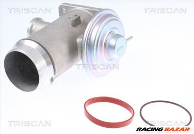 TRISCAN 8813 11102 - AGR-szelep BMW