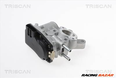 TRISCAN 8813 14100 - AGR-szelep NISSAN