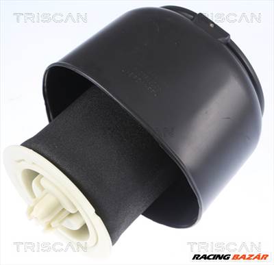 TRISCAN 8720 11201 - Légrugó, futómű BMW