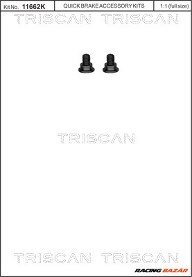 TRISCAN 8105 116003 - féktárcsa csavar BMW LAND ROVER MINI 1. kép