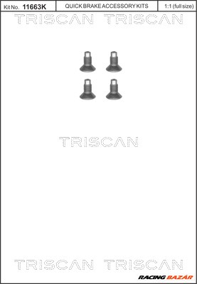TRISCAN 8105 116004 - féktárcsa csavar DACIA MERCEDES-BENZ NISSAN OPEL RENAULT SMART VAUXHALL 1. kép