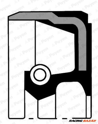 PAYEN NB928 - fötengely szimmering AUDI AYATS BHARATBENZ BREDAMENARINIBUS DRÖGMÖLLER ERF FENDT FUSO  1. kép