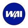 WAI S1007N - generátor szabályozó