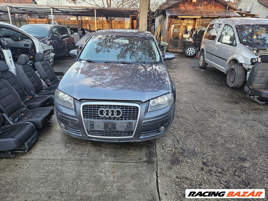 Audi A3 (8P) 1.9 TDI jobb első ajtó  3. kép