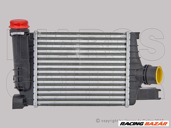 Dacia Dokker 2012- - Levegőelőhűtő (1.2,1.6,1.5 Dci) 1. kép