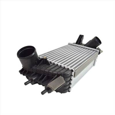 Nissan Juke Intercooler 14461-1KC0A