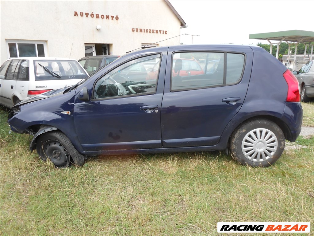 Dacia Sandero kiegyenlítő tartály 4. kép