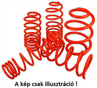 Merwede Sport ültetőrugó 45mm RENAULT CLIO 1.4/1.6/2.0/1.5DCi (FRONTSPRINGS + TUBING)