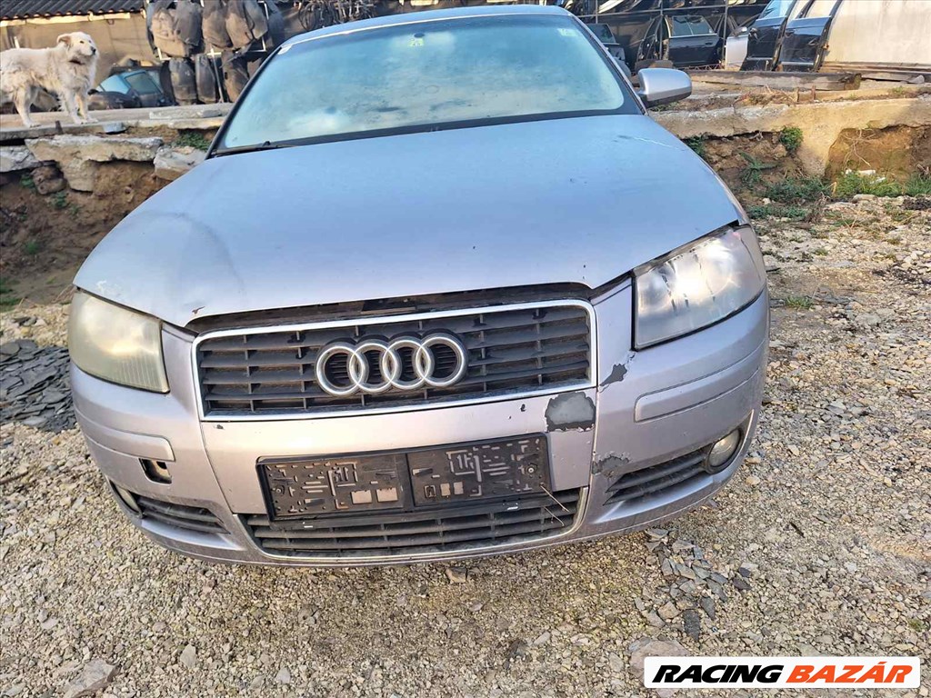 Audi A3 (8P) 1.9 pd BKC GQQ bontott alkatrészei 1. kép