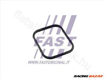 MANIFOLD GASKET FIAT SCUDO 07> INTAKE 1.6 HDI - Fastoriginal 0348.S5
