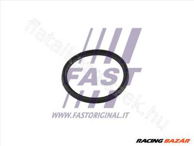 SEAL FIAT TALENTO 16> INTERCOOLER HOSE - Fastoriginal 6000618817