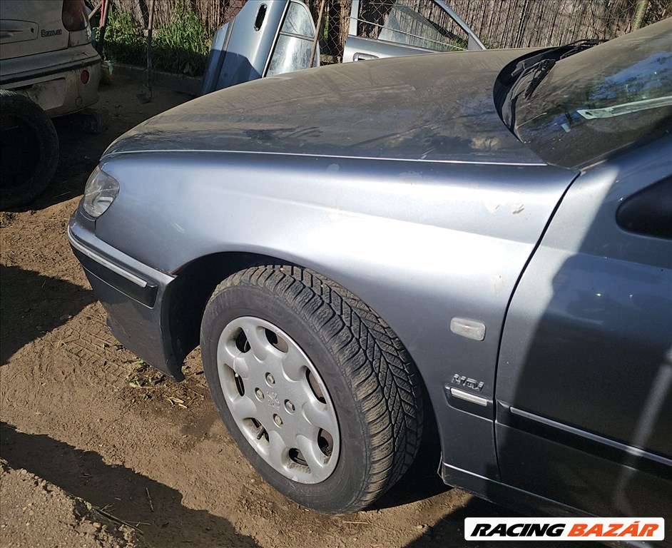 Peugeot 406 2.0 HDi Esplanade Sárvédő  2. kép