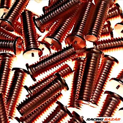 Telwin 100db-os menetes csavar készlet, Fe-Cu M5x16 - 802759