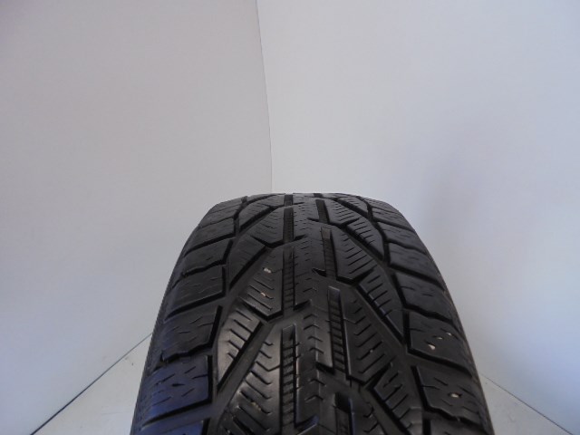 Riken Snow 215/55 R17  1. kép