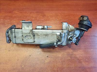 BMW 3 (F31), BMW 1, BMW 2, BMW 4, BMW 5, BMW 6, BMW 7, BMW X1, BMW X3, BMW X4, BMW X5, BMW X6 EGR Hűtő