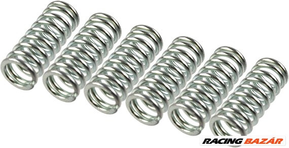TRW MEF114-6 - Tengelykapcsoló rugó készlet YAMAHA MOTORCYCLES 1. kép