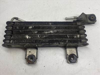 HYUNDAI SANTA FÉ I (SM) Olajhűtő