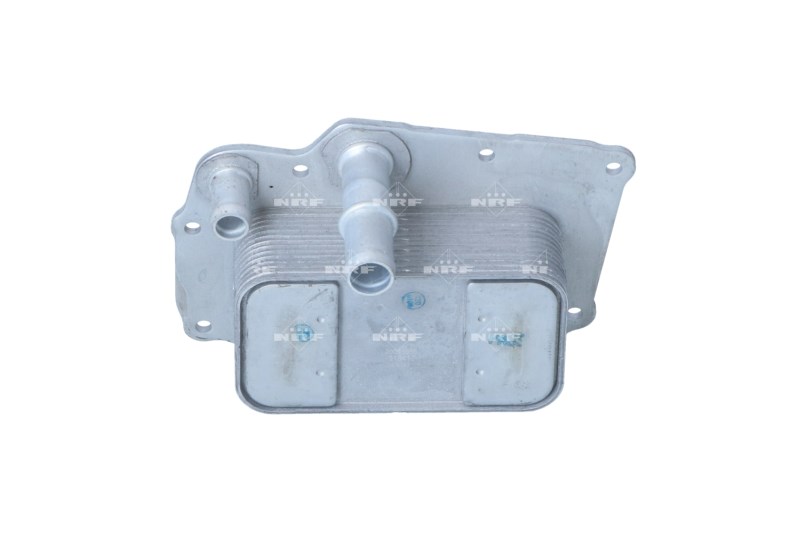 NRF 31841 - Olajhűtő, motorolaj SSANGYONG 1. kép