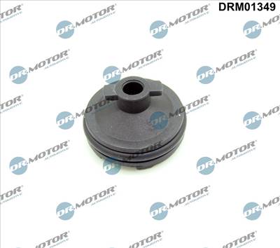 Dr.Motor Automotive DRM01349 - Olajteknő zárócsavar CITROËN DS FIAT FORD FORD USA OPEL PEUGEOT TOYOT