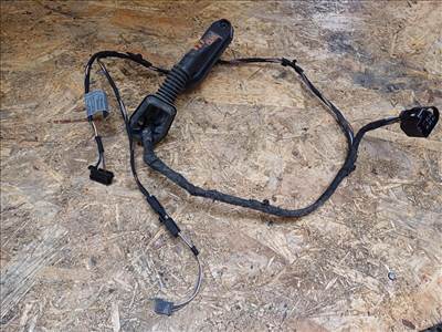 BMW 1 E87 (2005-2011) Bal Hátsó Ajtó Kábelköteg