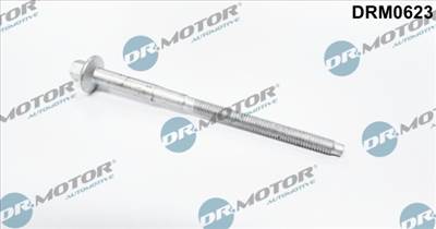 Dr.Motor Automotive DRM0623 - Csavar, befecskendező fúvóka tartó CITROËN FIAT FORD PEUGEOT