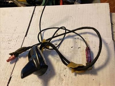 VW PHAETON 3D_ Antenna (15954)