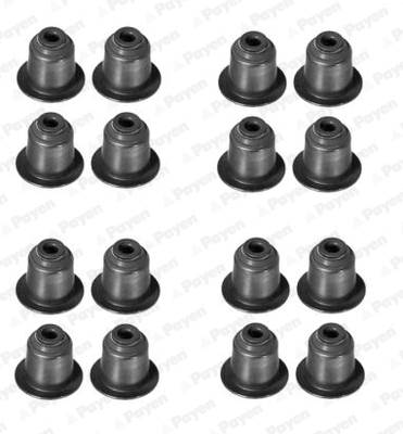 PAYEN HR5045 - szelepszár szimmering készlet BMW LAND ROVER MG ROVER WESTFIELD