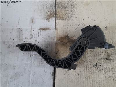 AUDI A6 4B, C5 Gázpedál (Elektromos) (47682) 8D1721523F