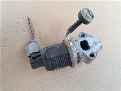 SKODA FABIA I 6Y2 EGR / AGR Szelep (41565) JOHNSON/AGR 95 39-007, BBY